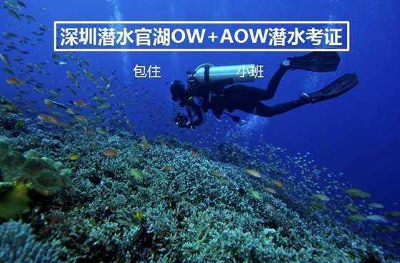 12星座特殊癖好都有哪些游戏画面
