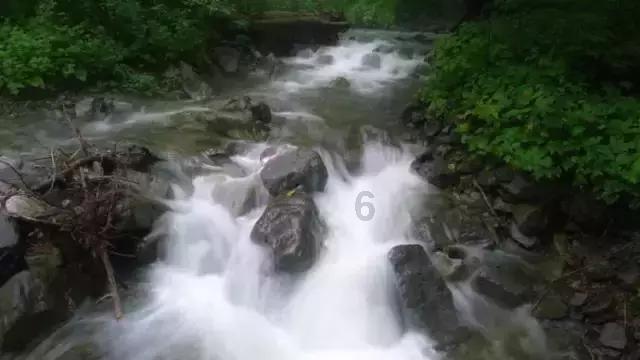 张宁“单骑救主”,山西男篮主场92比88险胜山东队
